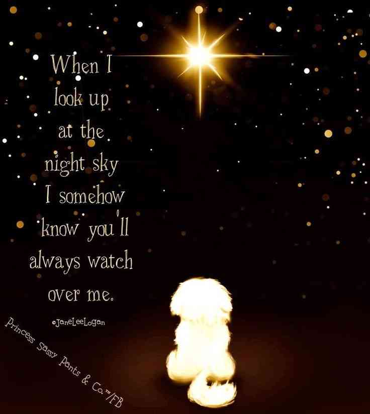 angels watch over you quotes