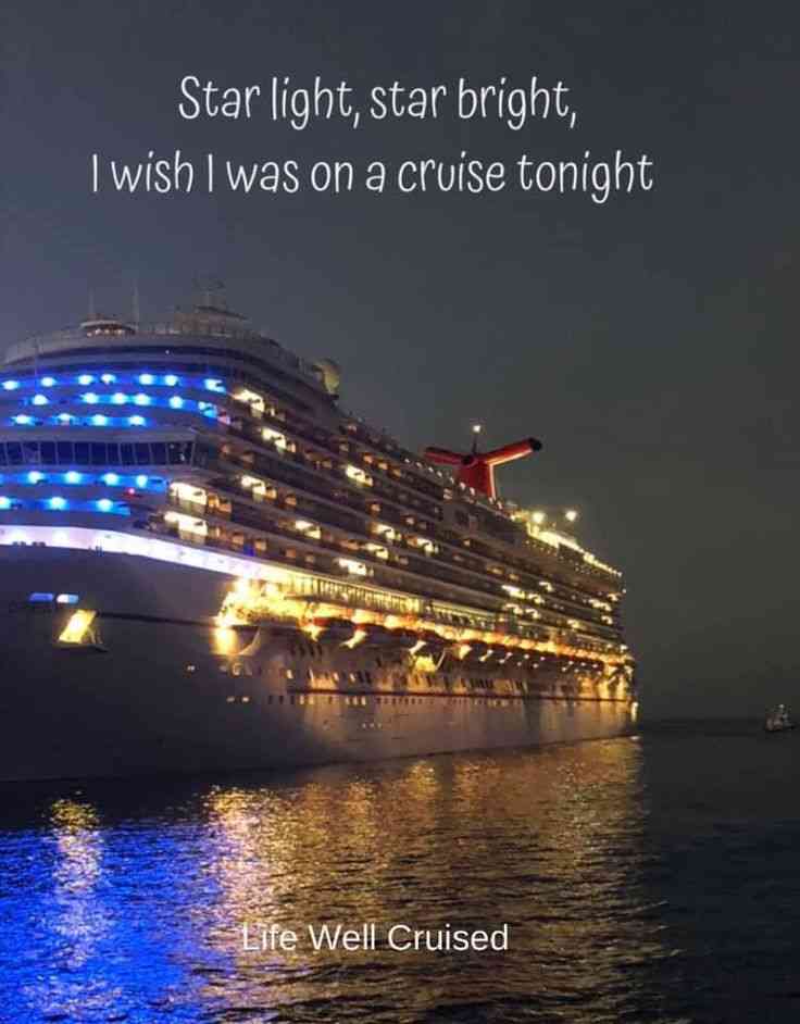 cruise quotes funny