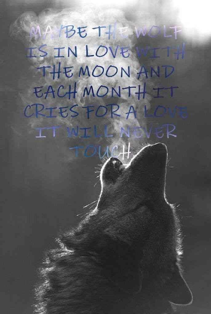 crying wolf quotes