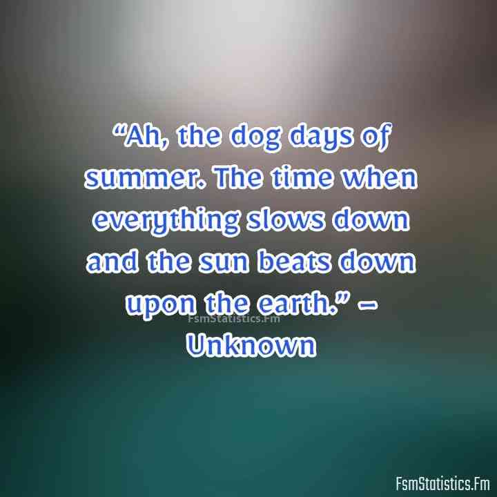 dog days of summer quotes