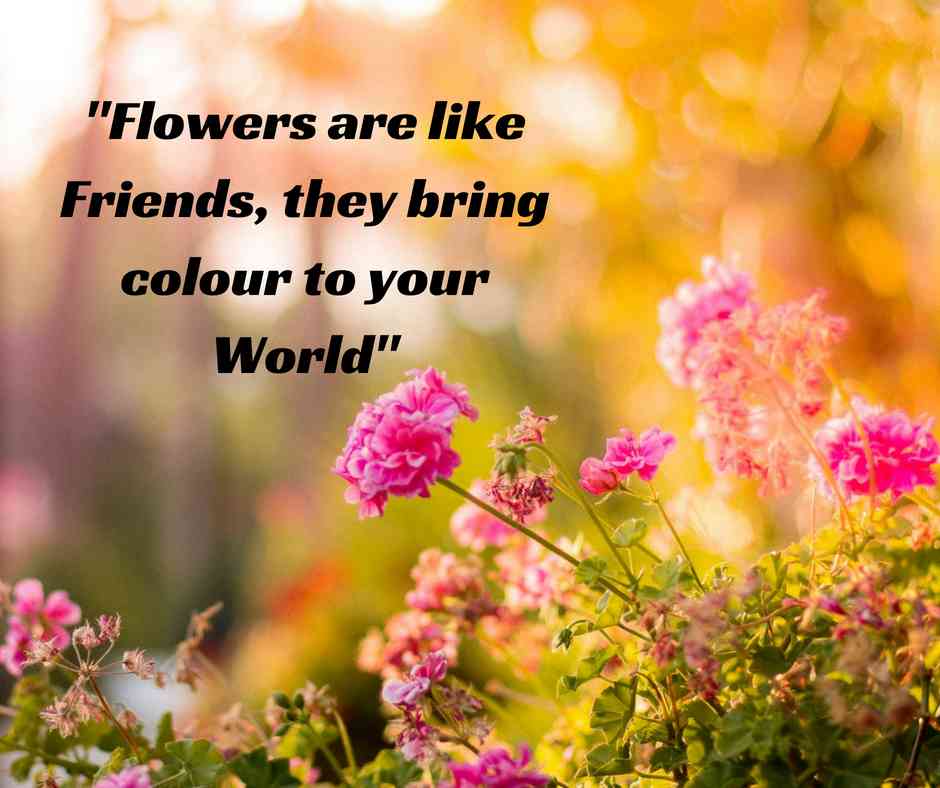 friends quotes flowers