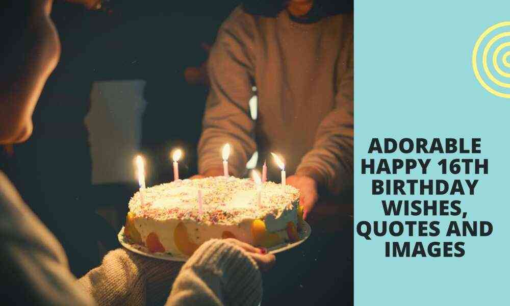 funny 16th birthday quotes