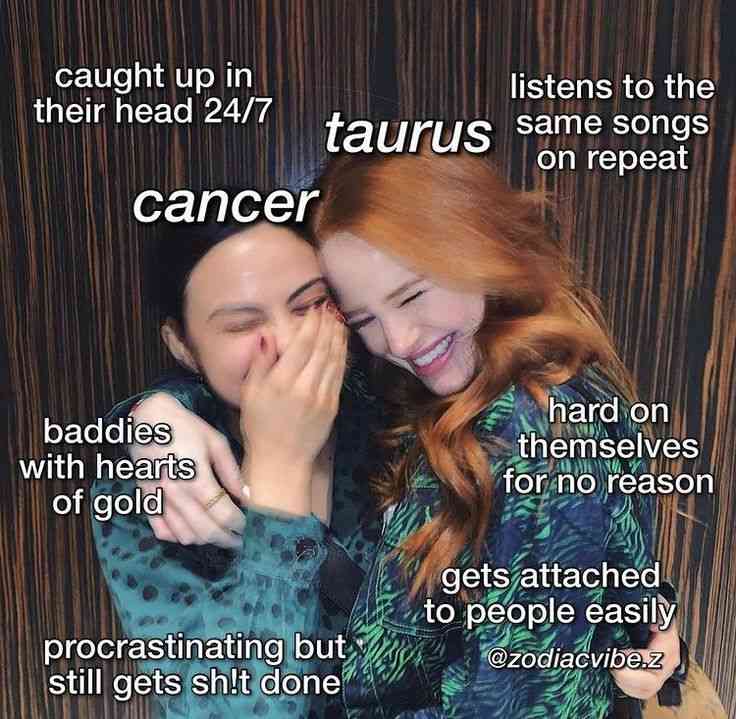 funny cancer zodiac quotes