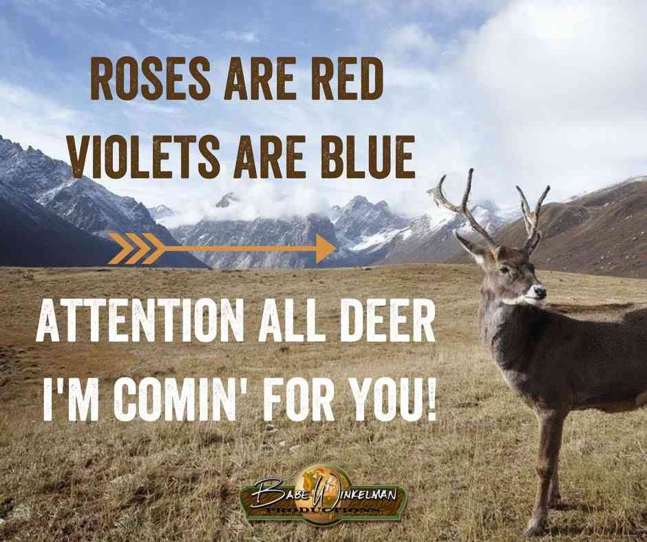 funny deer hunting quotes