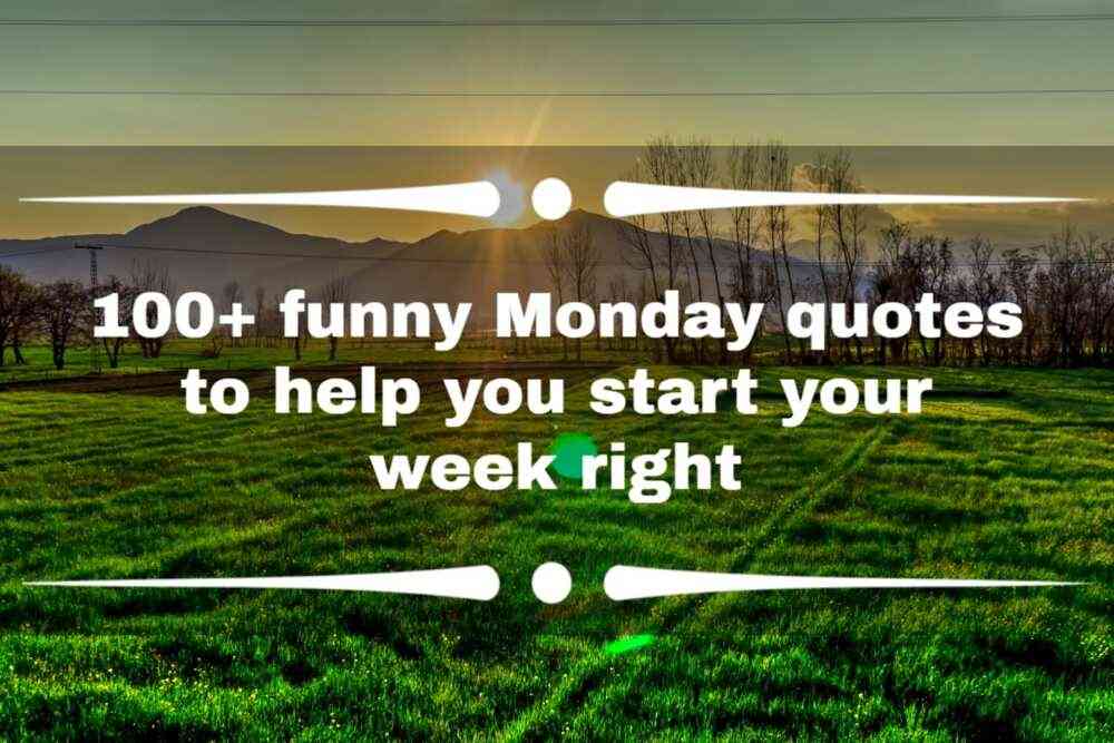 funny monday work quotes