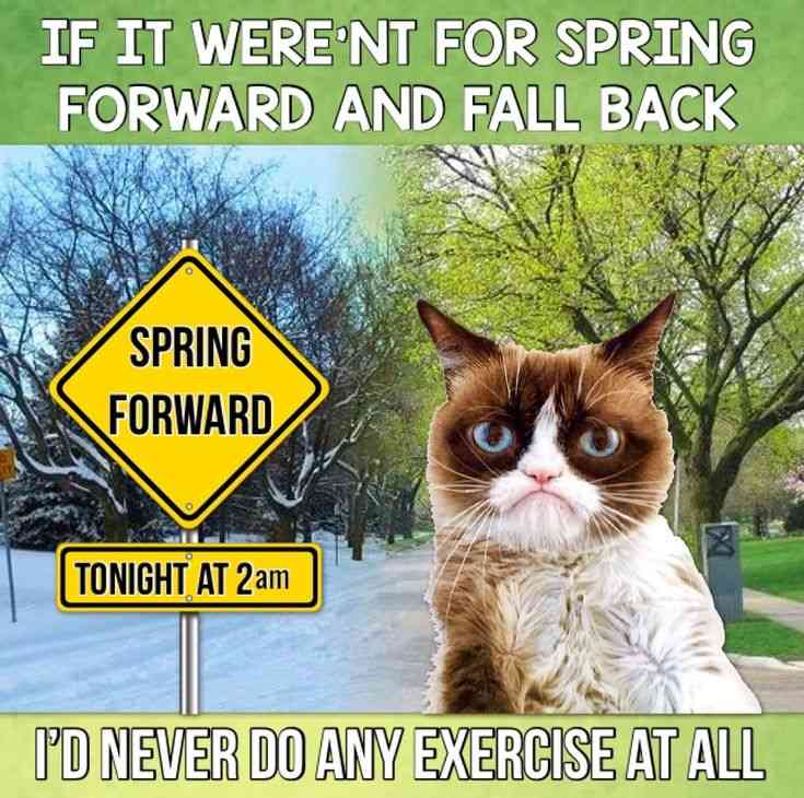funny spring forward quotes