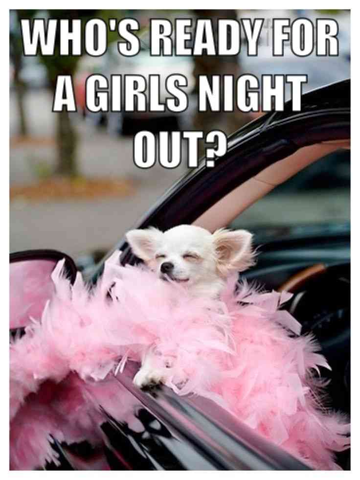 girls night out quotes