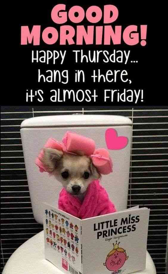happy thursday funny quotes
