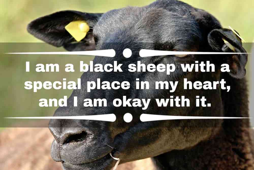 hurt black sheep of the family quotes