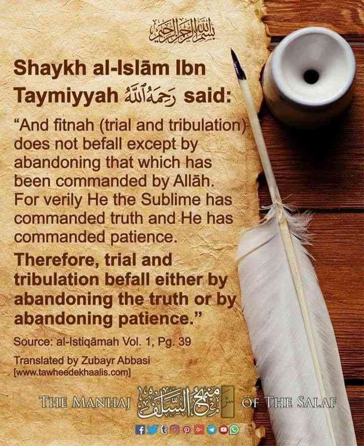 ibn taymiyyah quotes