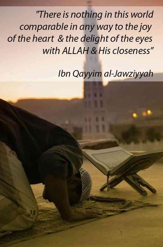 ibn taymiyyah quotes