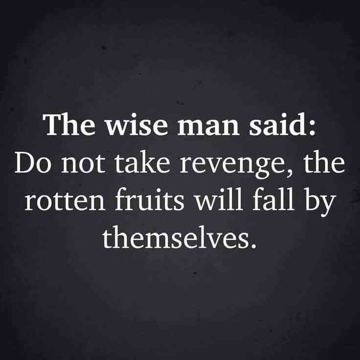 insult revenge quotes