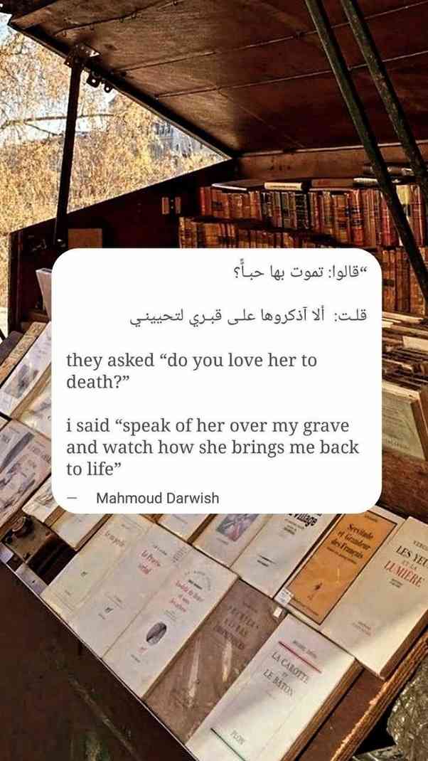 mahmoud darwish quotes romantic