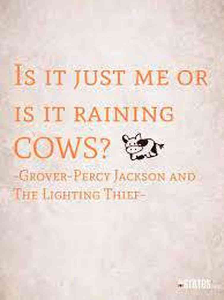 percy jackson best quotes
