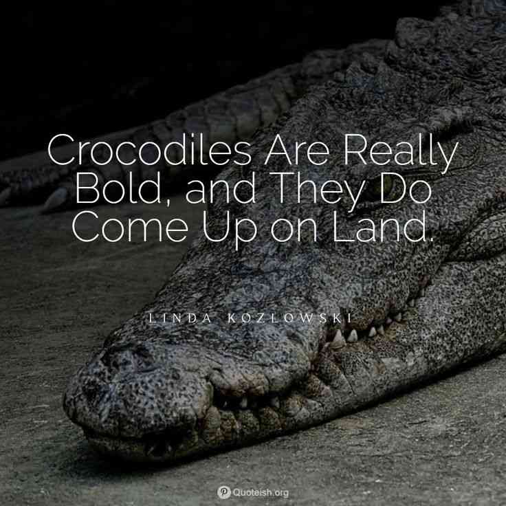 quotes about alligators