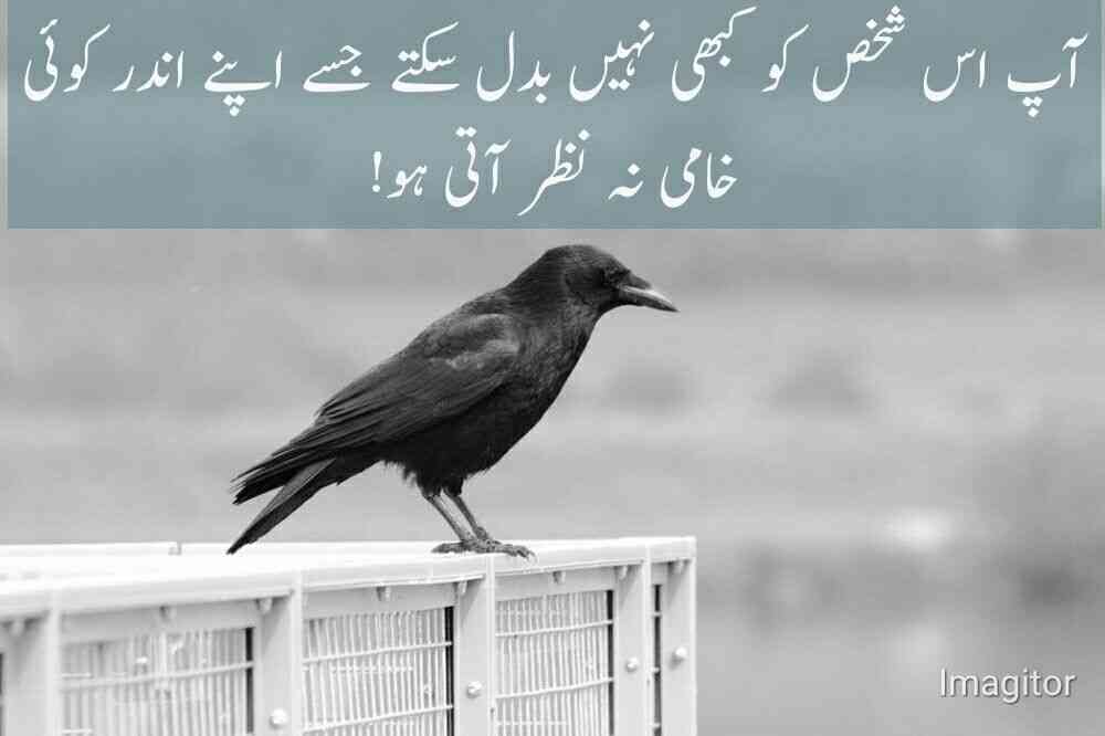 quotes about crow birds