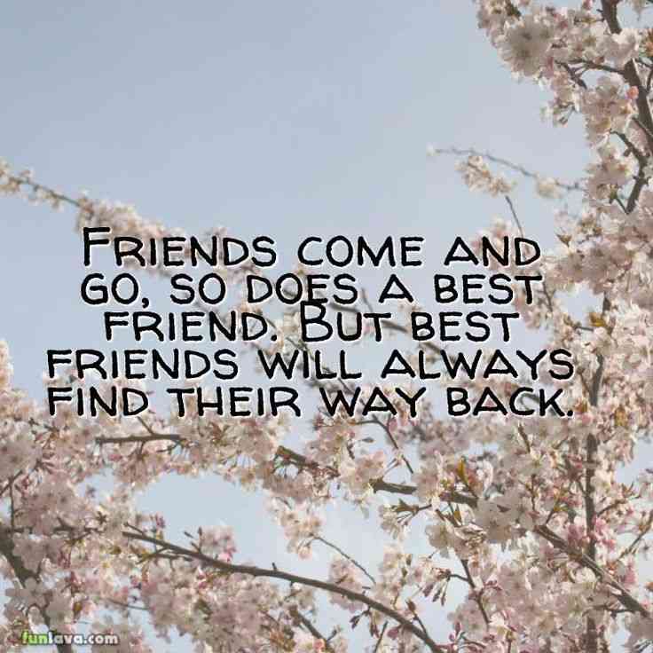 quotes about friends come and go