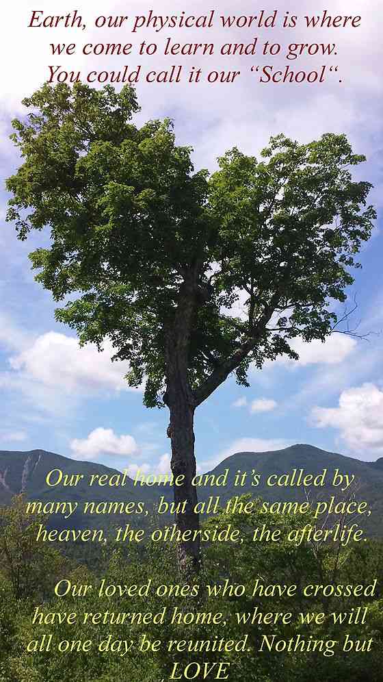 quotes about the tree of life