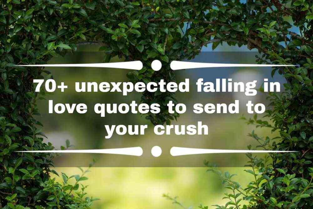 quotes about the unexpected love
