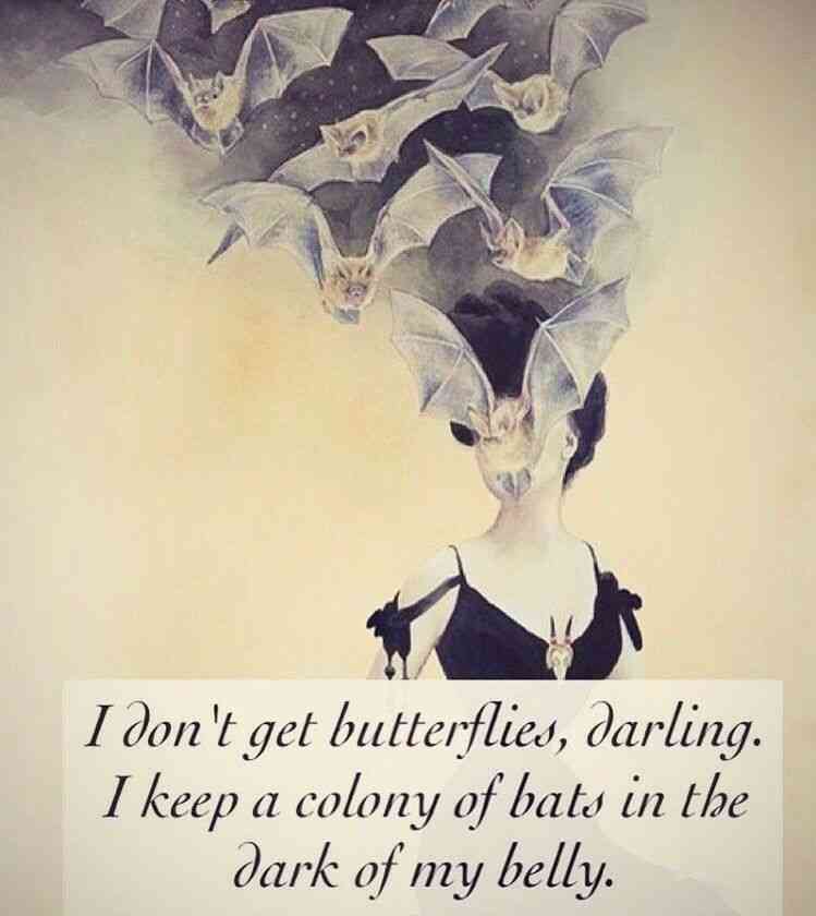 quotes on bats
