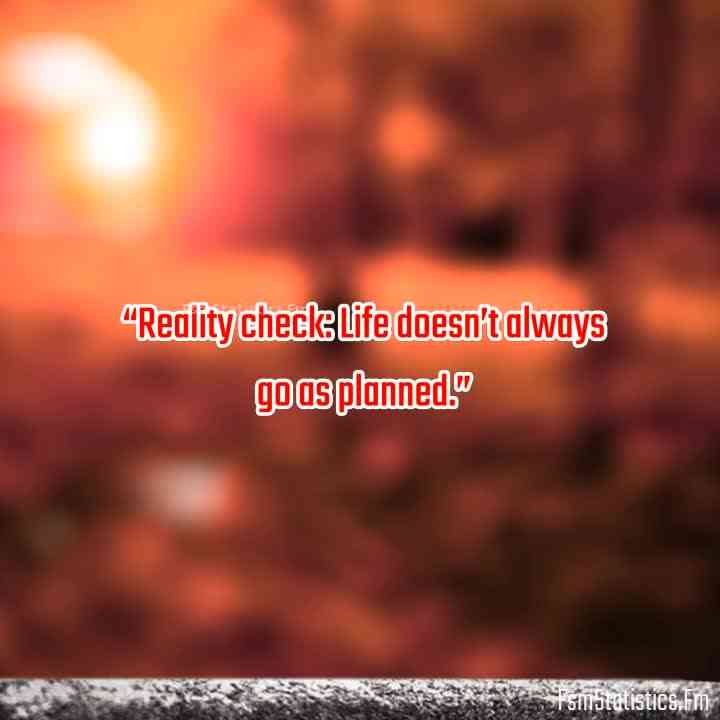 quotes on reality check