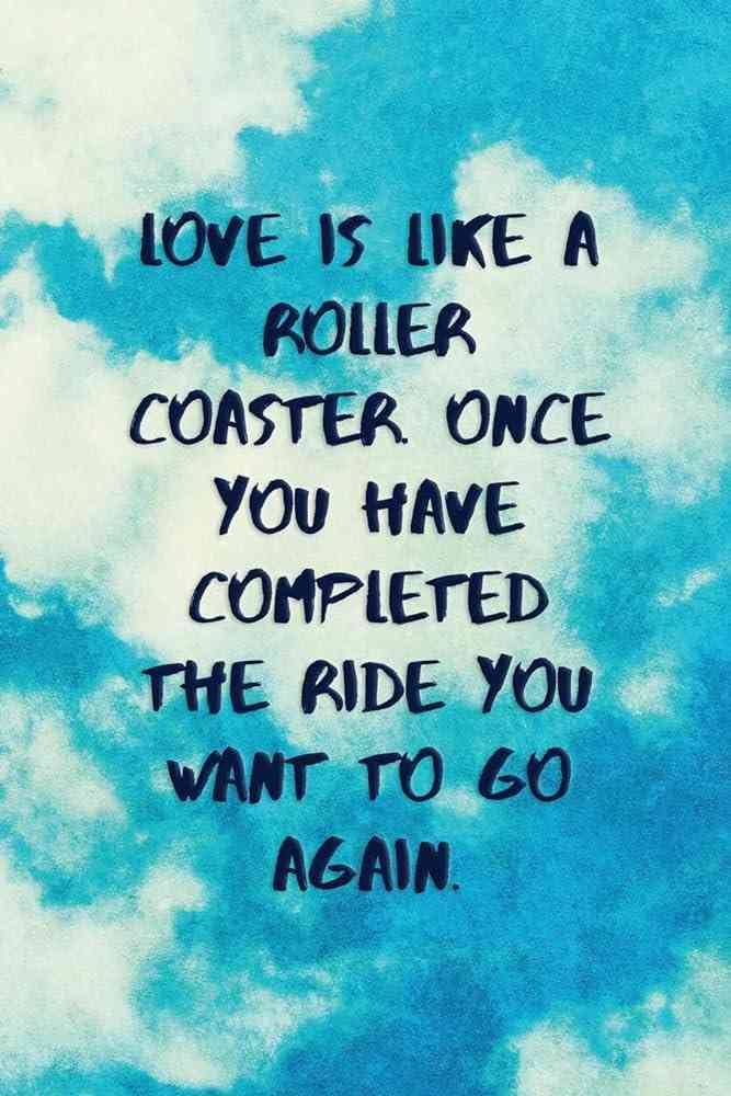 quotes roller coaster