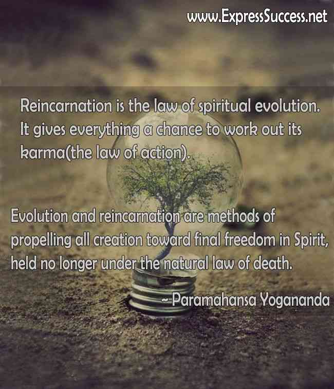 reincarnation quotes