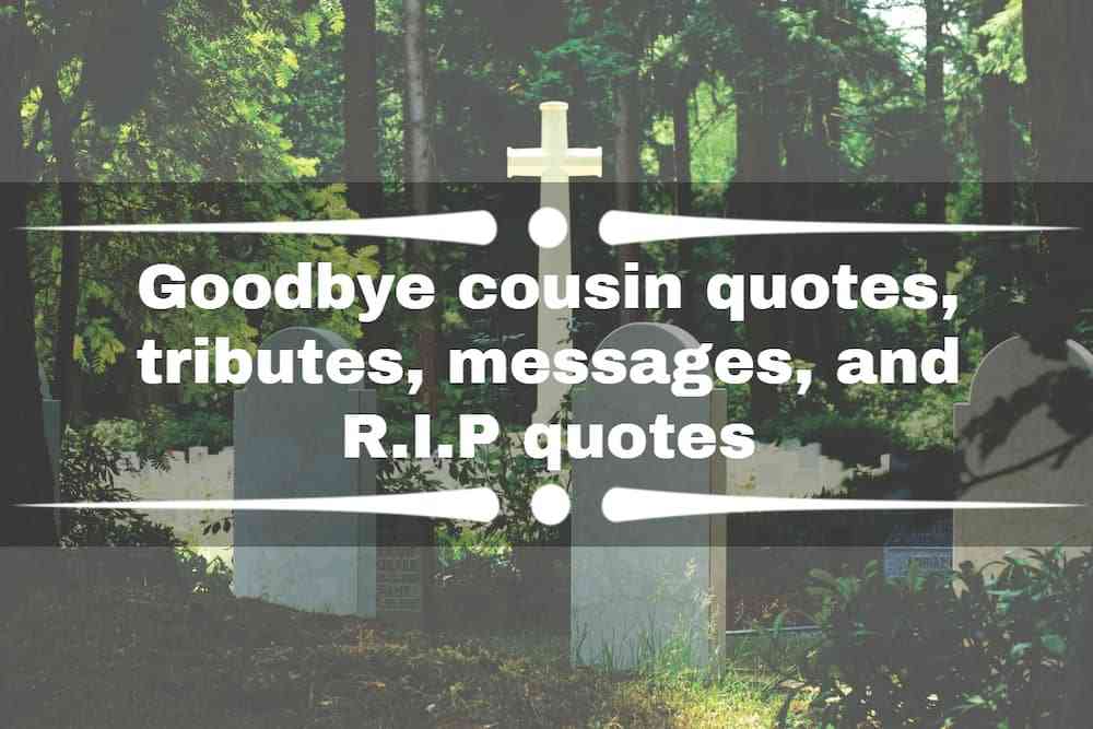 r.i.p quotes for cousin
