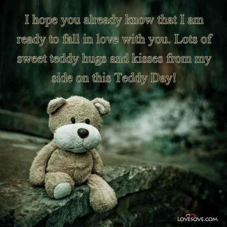 teddy bear quotes