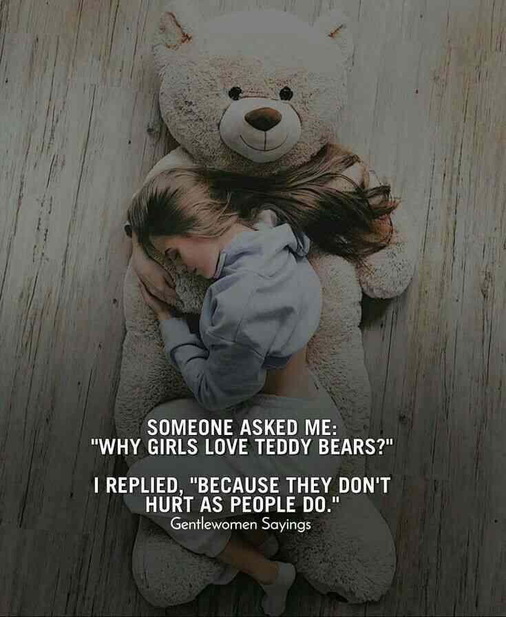 teddy bear quotes